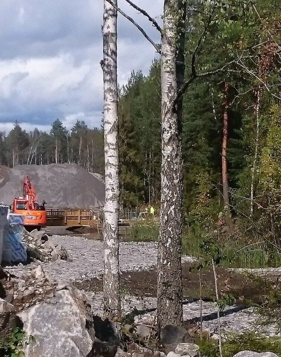 HVOR ER UTVIDELSEN AV VÅTMARKEN? Her, mellom gravemaskinen og trærne, ser vi den lille strimmelen med våtmark som er igjen på Trelasttomten. JM lovte å utvide våtmarken i sør som kompensasjon for gjenfylling i nord. Det var bare kosmetisk grønnvasking av utbyggingsprosjektet. Vi kan ikke se at våtmarken er utvidet, snarere er den gjort smalere med fyllinger på venstre side. Summen av inngrep her tilsier at den rødlistede fuglen sivhøne som hekket her, ikke kommer til å hekke her i fremtiden. Det er også tvilsomt hvordan det går med amfibiene når store deler av overvintringsarealene på land er ødelagt, og det blir et stort press fra menneskelig aktivitet. HVOR ER UTVIDELSEN AV VÅTMARKEN? Her, mellom gravemaskinen og trærne, ser vi den lille strimmelen med våtmark som er igjen på Trelasttomten. JM lovte å utvide våtmarken i sør som kompensasjon for gjenfylling i nord. Det var bare kosmetisk grønnvasking av utbyggingsprosjektet. Vi kan ikke se at våtmarken er utvidet, snarere er den gjort smalere med fyllinger på venstre side. Summen av inngrep her tilsier at den rødlistede fuglen sivhøne som hekket her, ikke kommer til å hekke her i fremtiden. Det er også tvilsomt hvordan det går med amfibiene når store deler av overvintringsarealene på land er ødelagt, og det blir et stort press fra menneskelig aktivitet.