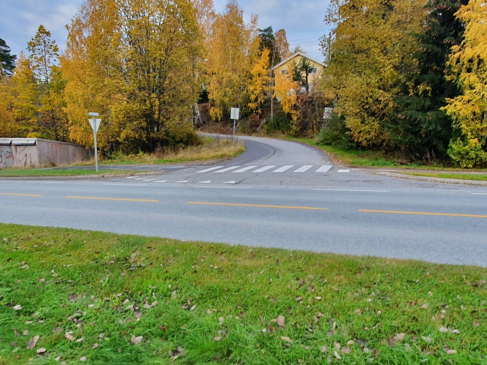 FRØYAS VEI: Det skal bygges opphøyde gangfelt ved innkjøringene til Frøyas vei (avbildet), Ødegården, Sofiemyr senter og Søndre Skrenten.