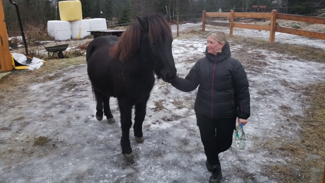 SENTRUMSLIV: Det er langt fra følelsen av by og sentrum i Eikjolveien, der islendingen Leo lever i harmoni med naturen og eier Sølvi Austad. SENTRUMSLIV: Det er langt fra følelsen av by og sentrum i Eikjolveien, der islendingen Leo lever i harmoni med naturen og eier Sølvi Austad.