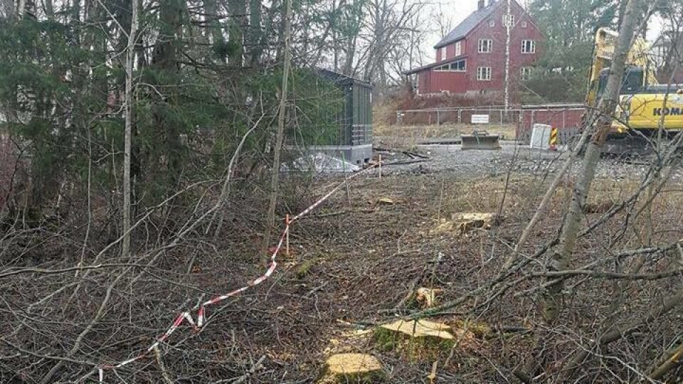FELTE TRÆR OG ETABLERTE NY GANGVEI: Kommunen har gitt utbyggeren av Storebukta tillatelse til felling av trærne for å etablere en gangvei over det fremtidige nærområdet ved Storebukta. FELTE TRÆR OG ETABLERTE NY GANGVEI: Kommunen har gitt utbyggeren av Storebukta tillatelse til felling av trærne for å etablere en gangvei over det fremtidige nærområdet ved Storebukta.
