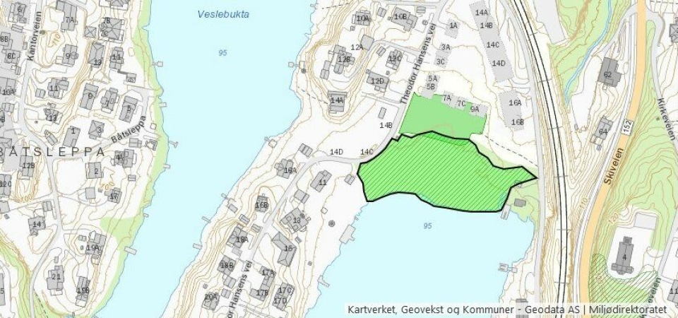 STOREBUKTA: Lokaliteten i det grønne området på kartet vurderes som viktig (B-verdi) grunnet stor dekning av typiske sumpskogsarter og høy rødlistekategori på naturtypen (rik sump- og kildeskog).