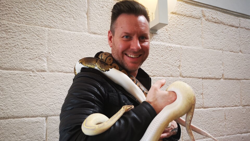 SLANGEMANNEN: Oliver Magnussen har hatt en forkjærlighet for slanger helt fra ungdomsårene. Nå åpner han reptilbutikk og showrom på Sofiemyr. SLANGEMANNEN: Oliver Magnussen har hatt en forkjærlighet for slanger helt fra ungdomsårene. Nå åpner han reptilbutikk og showrom på Sofiemyr.
