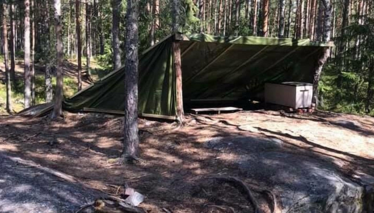 Pappaer Samlet pappaer til leirplass-dugnad
