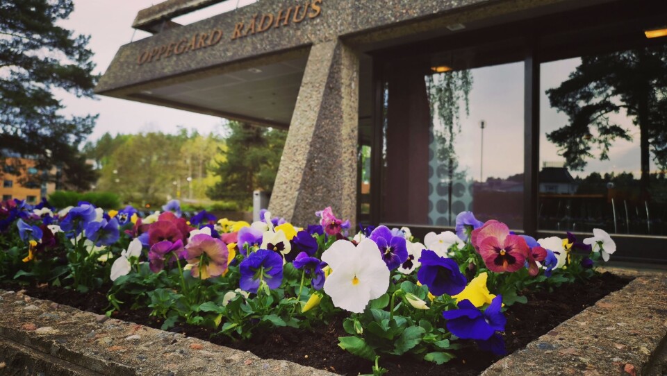 BLOMSTER PÅ PLASS: Onsdag kom årets vårblomster på plass i bedet utenfor gamle Oppegård rådhus. BLOMSTER PÅ PLASS: Onsdag kom årets vårblomster på plass i bedet utenfor gamle Oppegård rådhus.