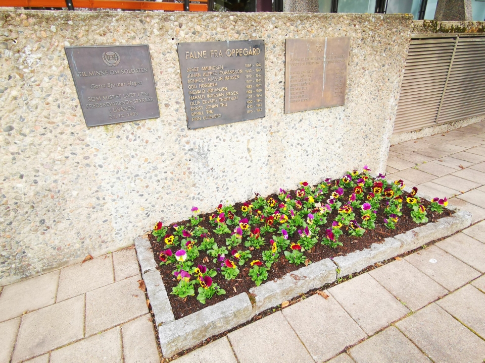 MINNESMERKET: Ved minnesmerket nedenfor inngangen til rådhuset er det det også plantet stemorsblomster.