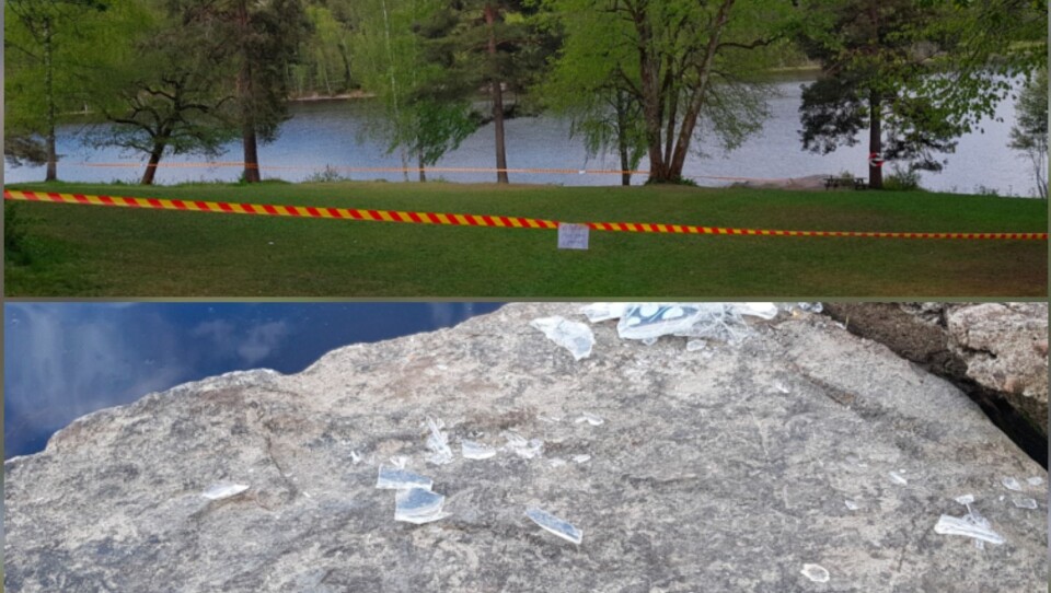 GLASS OVERALT: Per Kristiansen valgte å sperre av gressområdet på Tusse mandag. Friområdet var fullt av knust glass. GLASS OVERALT: Per Kristiansen valgte å sperre av gressområdet på Tusse mandag. Friområdet var fullt av knust glass.
