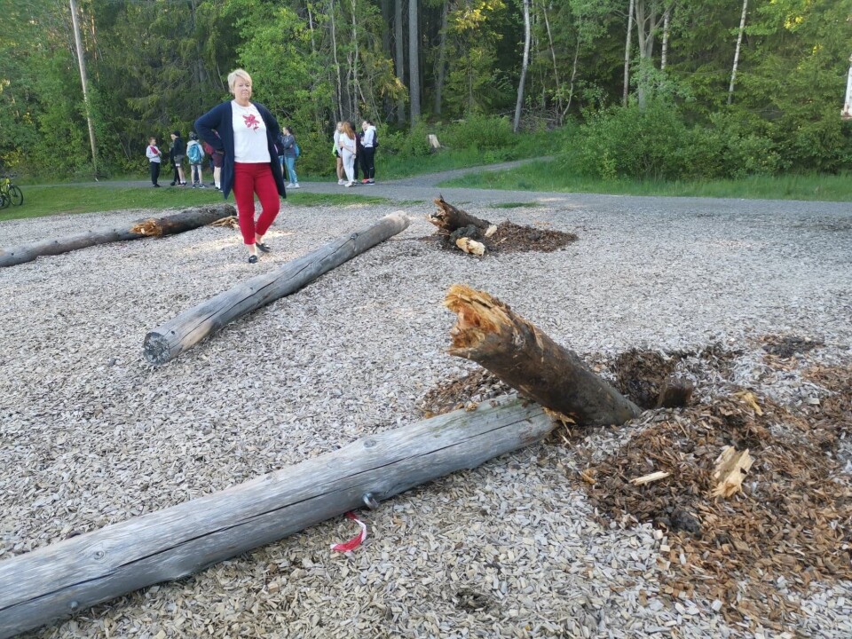 BRAKK: Flere av stokkene brakk da arbeiderne startet fjerningen. BRAKK: Flere av stokkene brakk da arbeiderne startet fjerningen.