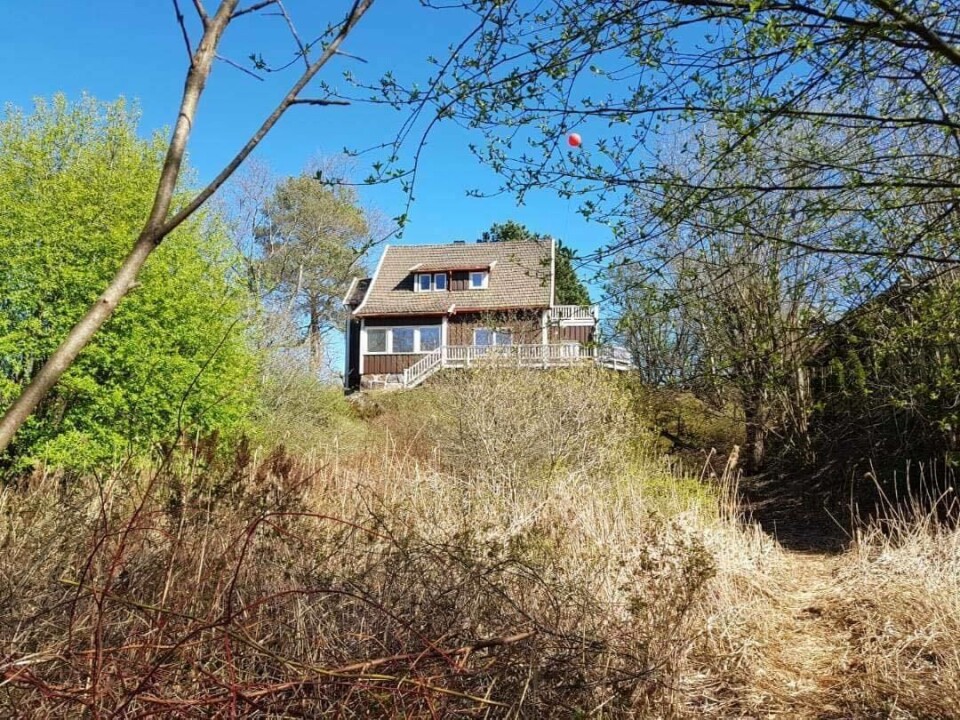 BYR PÅ FLOTTE MULIGHETER: Bildet viset huset Venleik, med verandaen og potensialet rundt. Hagen er i dag gjemt bak vegetasjon. BYR PÅ FLOTTE MULIGHETER: Bildet viset huset Venleik, med verandaen og potensialet rundt. Hagen er i dag gjemt bak vegetasjon.