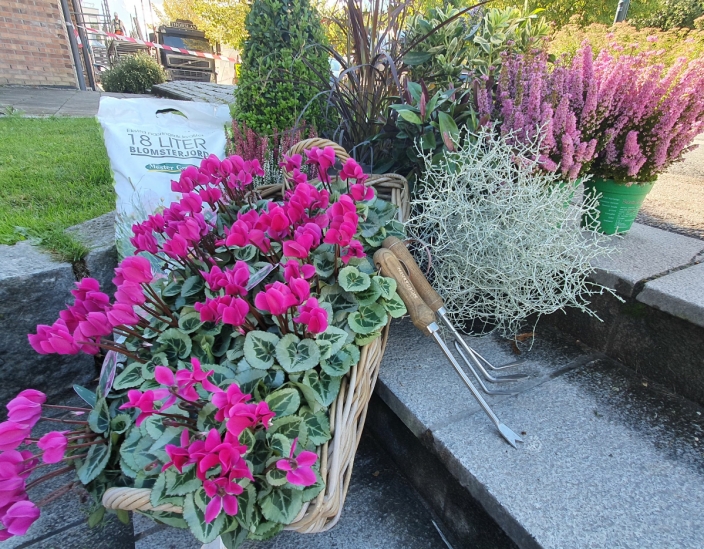 FARGERIK HØST: Blomsterbutikkene har mange fargerike planter. Foto: Yana Stubberudlien