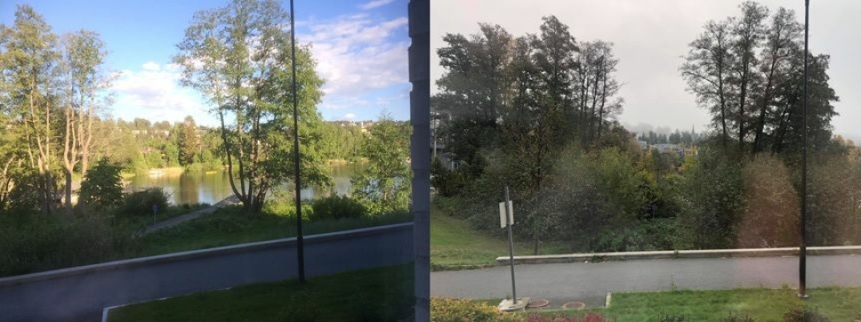 VESLEBUKTA I 2015 OG I 2020: Eivind Wremer (78), som bor i Strandliveien, mener han at kantsonen i Veslebukta så mye bedre ut for fem år siden da kommunen tynnet ut vegetasjonen der.