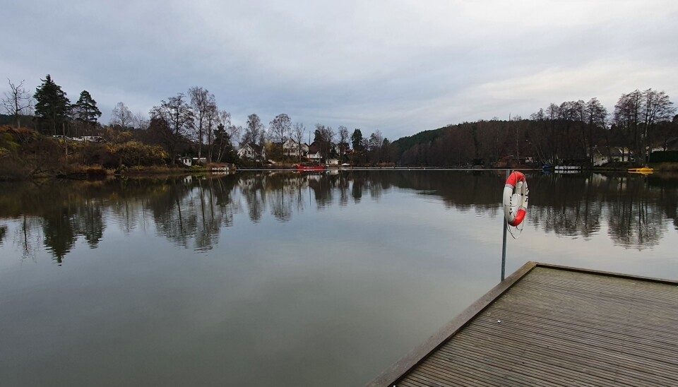 KOLBOTNVANNET: Årsrapporter viser at det ikke har vært bedring av vannkvaliteten i vannet siden 1990. Spesielt gjelder dette tilførsel av fosfor. Foto: Yana Stubberudlien KOLBOTNVANNET: Årsrapporter viser at det ikke har vært bedring av vannkvaliteten i vannet siden 1990. Spesielt gjelder dette tilførsel av fosfor. Foto: Yana Stubberudlien