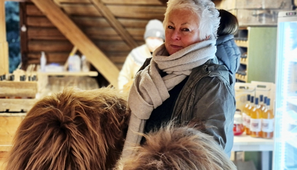 SAUESKINN: Barbra fra Tåsen sikret seg to flotte eksemplarer av saueskinn i gårdsbutikken, og var dermed ferdig med to av årets julegaver.