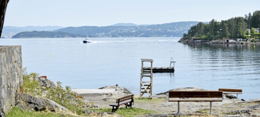 Nå kommer planen for hvordan Oslofjorden skal reddes