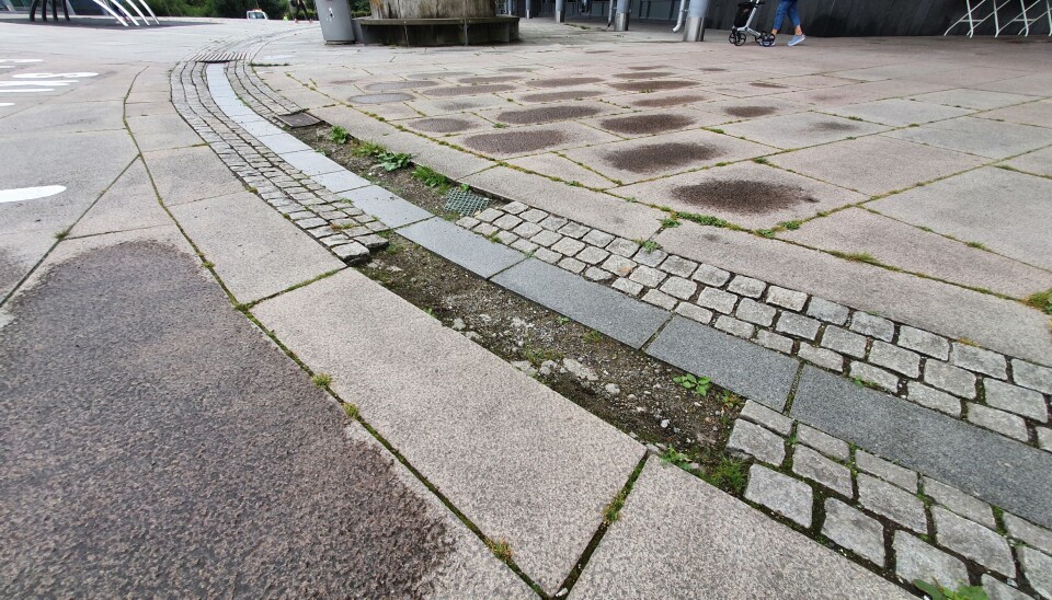MANGLER FLERE BROSTEIN: Den lille bekken eller 'elven', som renner fra fontenen, mangler fortsatt flere brostein. MANGLER FLERE BROSTEIN: Den lille bekken eller 'elven', som renner fra fontenen, mangler fortsatt flere brostein.