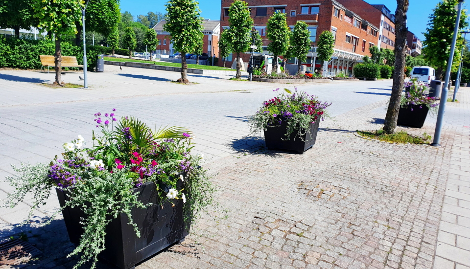 I SLUTTEN AV JUNI: Blomsterbedene i Ski sentrum ble ferdig beplantet i slutten av juni. Foto: Yana Stubberudlien
