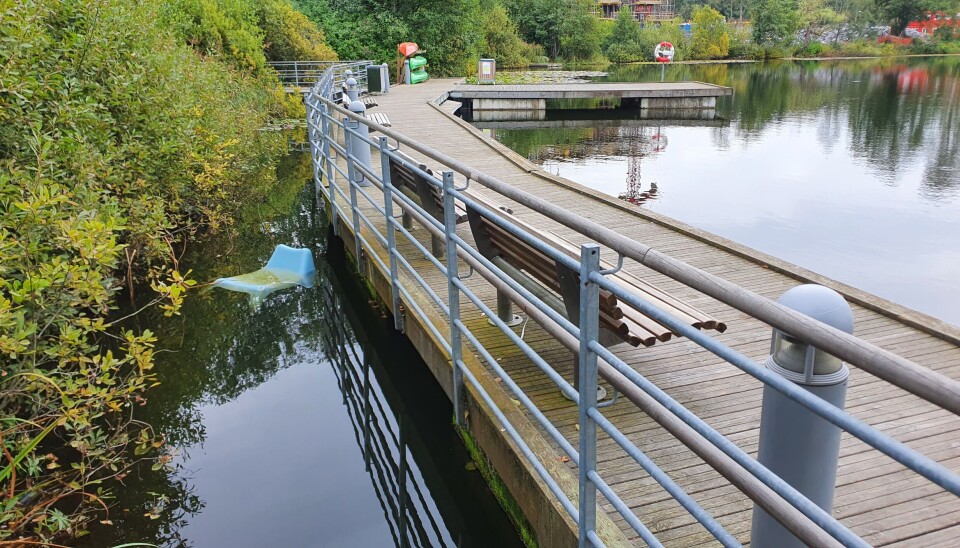 BLE KASTET I VANNET: Fredag kunne vi se en plaststol fra tufteparken i vannet ved bryggen. BLE KASTET I VANNET: Fredag kunne vi se en plaststol fra tufteparken i vannet ved bryggen.