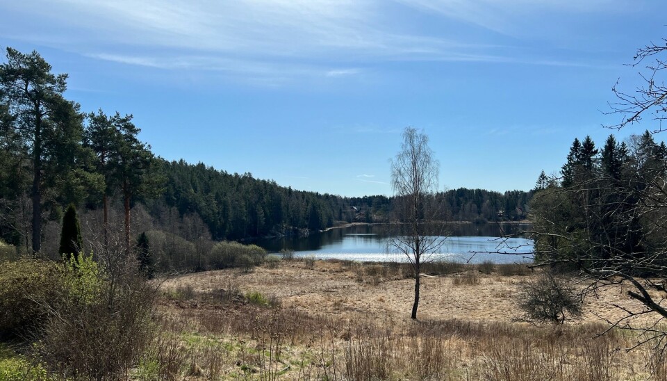 VILL UTSIKT: Denne utsikten er det nok mange som drømmer om å kunne se hver eneste dag. VILL UTSIKT: Denne utsikten er det nok mange som drømmer om å kunne se hver eneste dag.