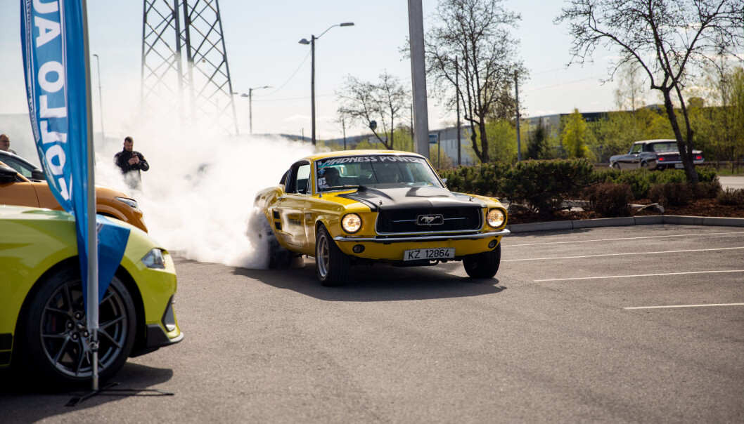 LOKAL TÅKE: Kjendisen Lillegul stilte med glede opp da rundt 60 Ford Mustang-er møttes på Follo Autoco. LOKAL TÅKE: Kjendisen Lillegul stilte med glede opp da rundt 60 Ford Mustang-er møttes på Follo Autoco.