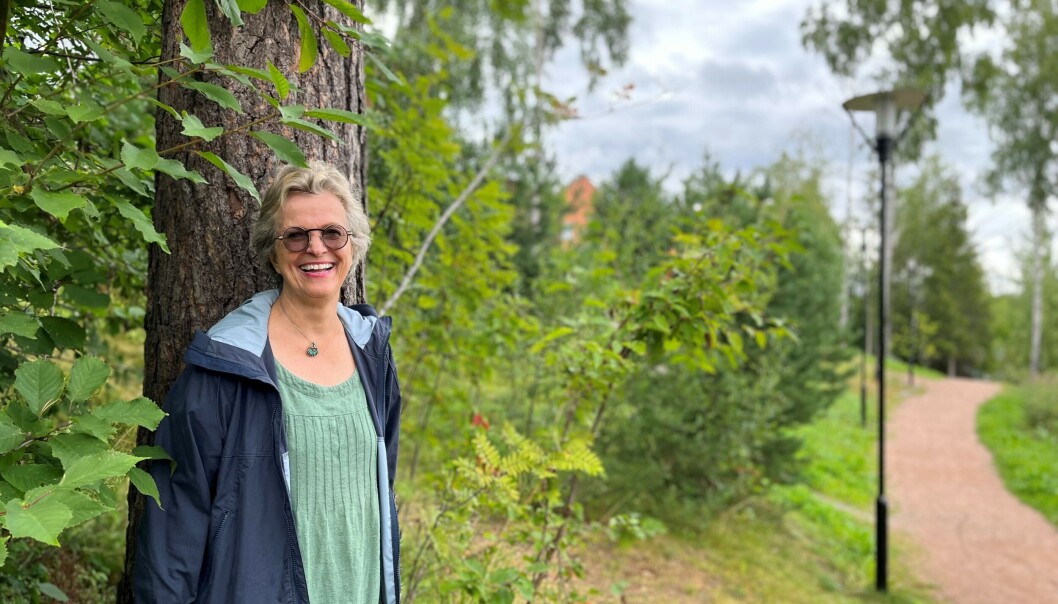 HER STARTET DET: Det var ved dette treet kunstneren Jette van der Lende skjønte at Ole Brumm måtte få bo i hundremeterskogen på Greverud. HER STARTET DET: Det var ved dette treet kunstneren Jette van der Lende skjønte at Ole Brumm måtte få bo i hundremeterskogen på Greverud.