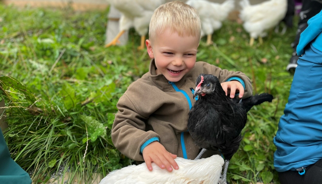 FORT VENNER: Det tok ikke lange tiden før Eivind ble god venn med de nye hønene.