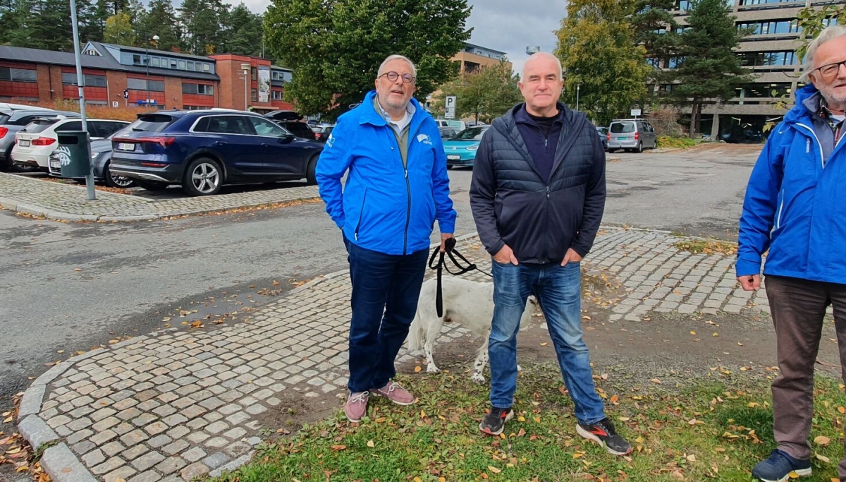 Bygg høye og slanke tårn på inntil femten etasjer