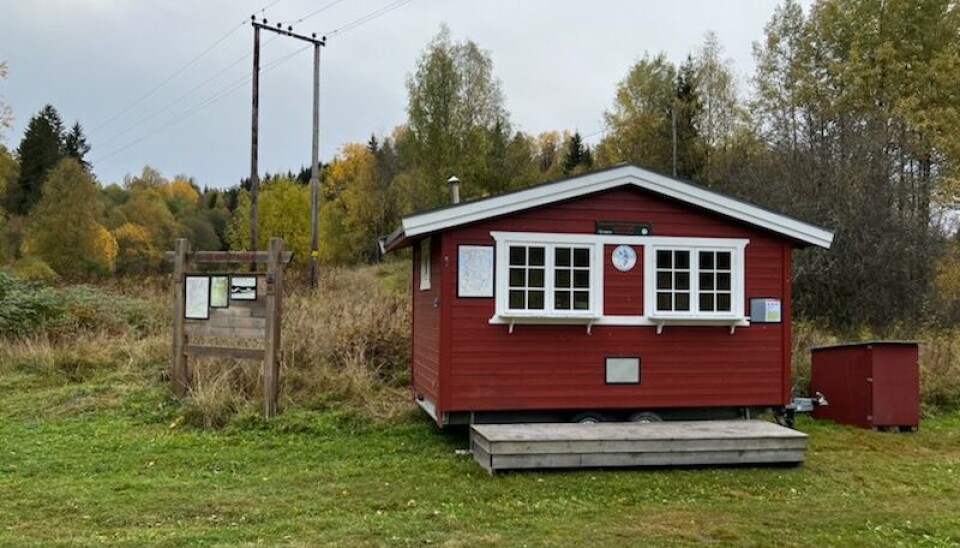 KLOPPA: Denne var stor suksess forrige skisesong, nå gjøres den klar for en ny. KLOPPA: Denne var stor suksess forrige skisesong, nå gjøres den klar for en ny.