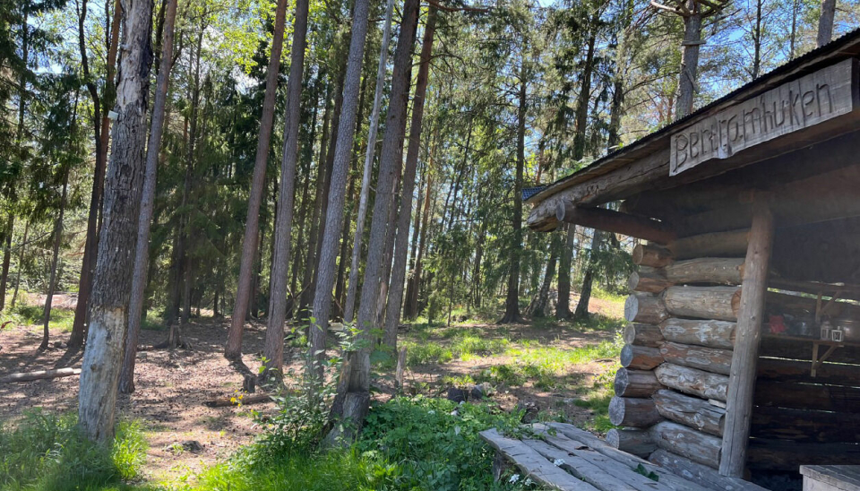 NÆRSKOGEN I NORD: Bertramskogen er flittig brukt av Søndre Aas gård, beboere, barnehager og skoler. Det er laget en flott gapahuk i skogen.