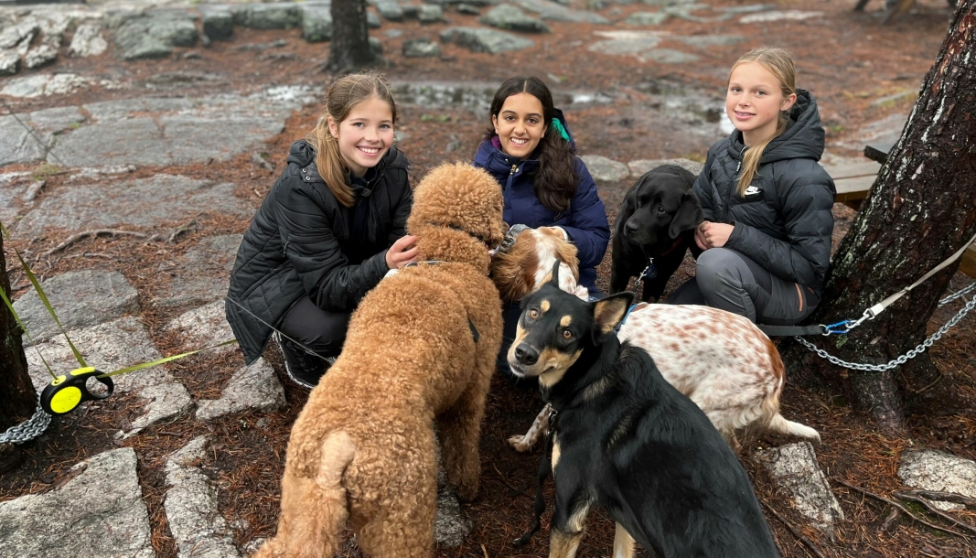 kreativ OD-DAG: Eva Sellevoll, Maria Augestad Dyrhaug og Alina Juddha åpnet hundebarnehage for Operasjon Dagsverk.