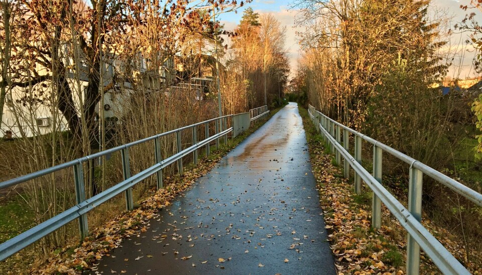 KLAR FOR Å LØPE: Løypen ligger i alle fall klar. Nå er alt opp til deg som løper. KLAR FOR Å LØPE: Løypen ligger i alle fall klar. Nå er alt opp til deg som løper.