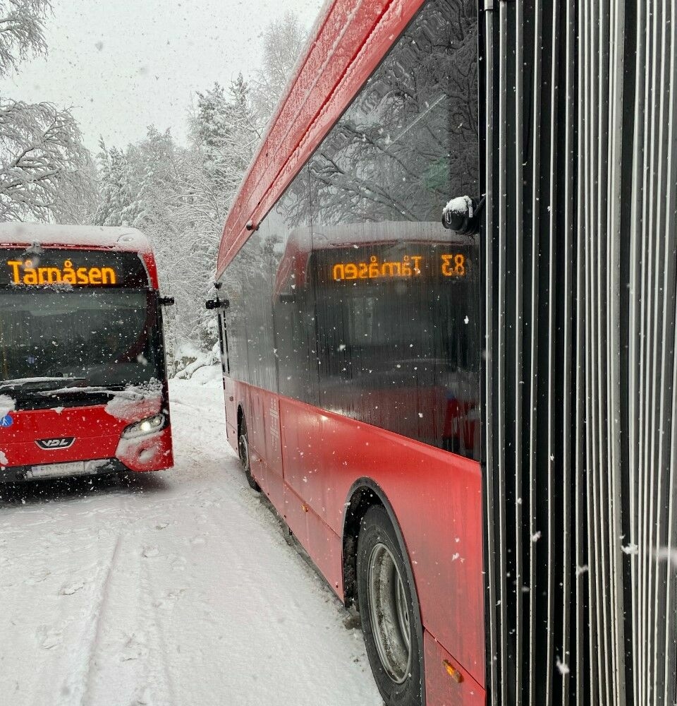 SPERRER VEIEN: De to bussene står mot hverandre i Mellomåsveien.