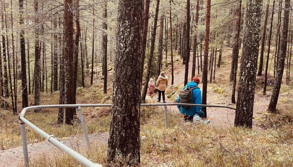 GRUSVEIEN: Du slipper å gå på lykke og fromme hvis du ikke vil. Det er faktisk anlagt en flott grusvei fra hytta og rett ned på parkeringsplassen. GRUSVEIEN: Du slipper å gå på lykke og fromme hvis du ikke vil. Det er faktisk anlagt en flott grusvei fra hytta og rett ned på parkeringsplassen.