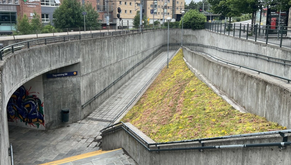 Nå er kulverten på Kolbotn stasjon grønn igjen