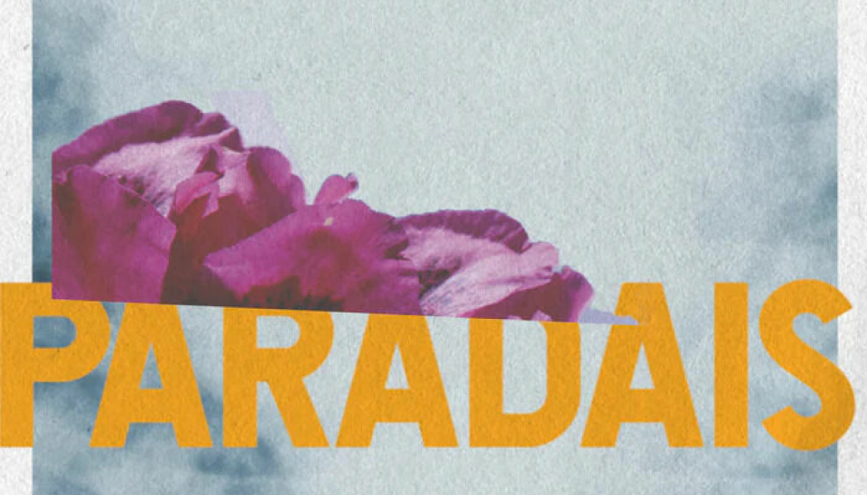 PARADAIS: Ukens boktips utspiller seg i Mexico, og beskrives som en sterk thriller.