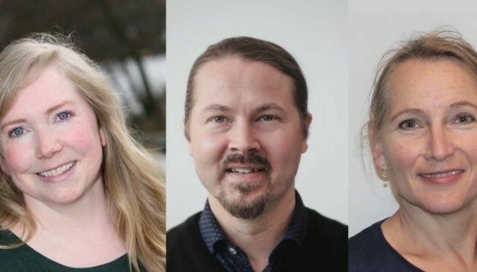 MDG-TRIO: Marthe Arnesen, Sturla K. Naas Johansen og Marina Heyerdahl er MdGs topp-trio i årets kommunevalg.