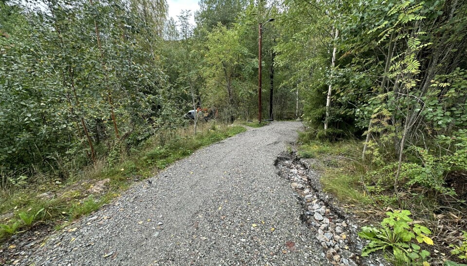 LENGER OPP: Slik ser det ut lenger opp i gangveien. Her har naturen selv gravd grøft på siden av veien. LENGER OPP: Slik ser det ut lenger opp i gangveien. Her har naturen selv gravd grøft på siden av veien.