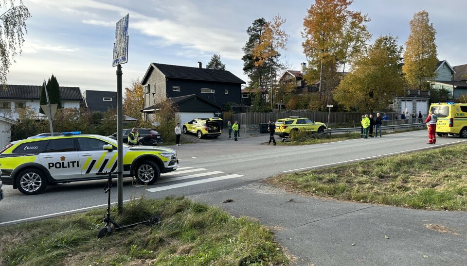 FOTOVERGANG: På dette fotgjengerfeltet skjedde ulykken.