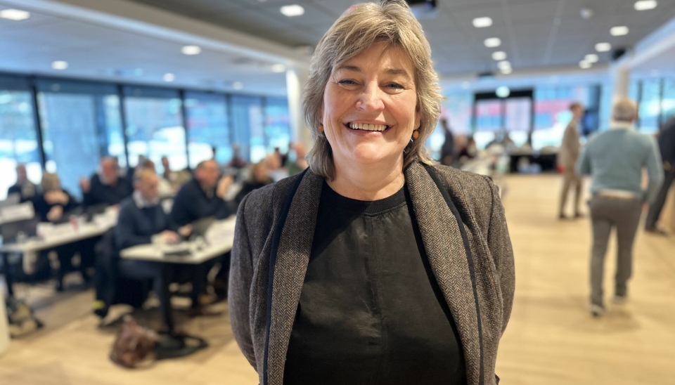 ARBEIDERPARTIET: Merete Bellingmo i Arbeiderpartiet foreslo sammen med Knut Oppegaard i Høyre at kommunen skal se nærmere på barnehagepptaket.