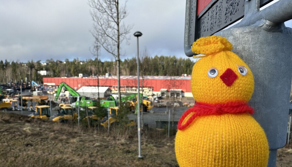 PÅSKEKYLLINGEN: Den kidnappede påskekyllingen er sårt savnet, hjelp Tårnåsen barnehage å finne den.